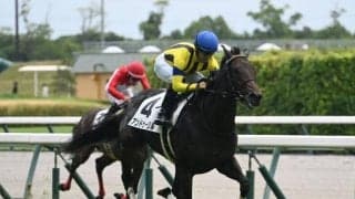 【AI予想・ホープフルS】厩舎ゆかりの血統馬でGI獲りへ！ 前走で能力の高さを証明した人工知能の本命馬