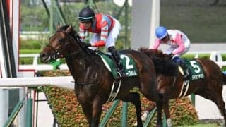 【京都金杯想定馬・騎手】キープカルム、トロヴァトーレなど23頭