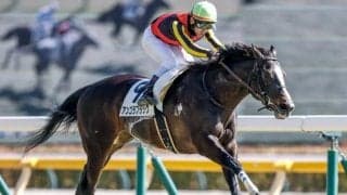 【中山金杯想定馬・騎手】アンゴラブラック、カネラフィーナなど15頭