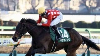 重賞2勝キタウイングが登録抹消…繁殖入り