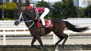 【兵庫GT】坂井瑠「メリークリスマス！」ハッピーマンが交流重賞2勝目