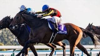 【有馬記念】連覇かかるレガレイラは484kg…出走馬の調教後の馬体重