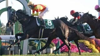 【ホープフルS】ジャスティンビスタは516kg…出走馬の調教後の馬体重