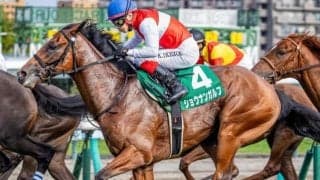 霜降り明星・粗品はショウナンガルフが本命 ホープフルSは3連単＆3連複で勝負だ