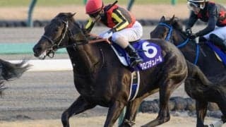 【ホープフルS】新馬＆未勝利組はGI昇格後0勝 重賞戦線での実績を重視したい一戦