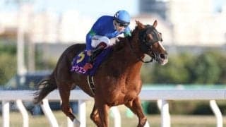 JBCレディスC連覇のアンモシエラが登録抹消 桑田牧場で繁殖入りの予定