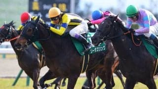 ソーダズリングが引退、繁殖入り