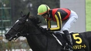 ホープフルS当日の中山芝は内外フラット 展開がカギに