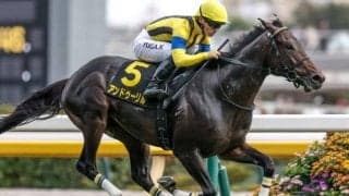 【ホープフルS・馬体重】アンドゥーリルは460kg(-2)、ジャスティンビスタは516kg(±0)