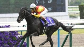 中山芝中距離はディープ系が優勢 ジャスティンパレスが有馬記念で「四度目の正直」だ