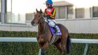 【有馬記念前日オッズ】レガレイラが3.2倍で1番人気