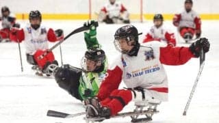 若手とベテランが融合　ミラノ出場決めたパラアイスホッケー日本代表
