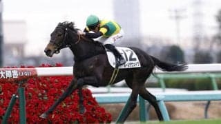 【新馬/中山5R】マーカンド騎乗 ルールザヴェイヴがデビューV