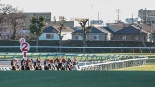 あなたは有馬記念をどこで観る？ 「ゴール前」「友人宅で」今年も特別な一日に