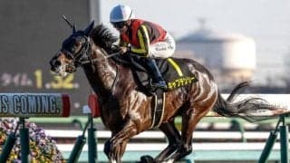【カウントダウンS】母はGI馬アドマイヤリード キャプテンシーが約2年ぶりの勝利なるか