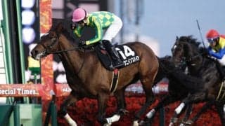 【グレイトフルS】14番枠ミクニインスパイアが人気に応える