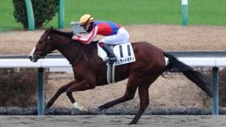 【新馬/中山6R】軽量ジェラートキティが逃げ切る