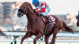 霜降り明星・粗品はダノンデサイルを信頼 有馬記念は3連単＆3連複で勝負だ