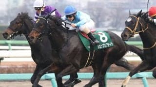 【ターコイズS】ドロップオブライトが重賞2勝目…混戦から抜け出す