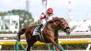 【有馬記念予想】2025年の総決算！ 中山2500mで最強馬の座につくのは