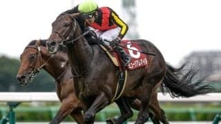【有馬記念予想】掘れば正解が見えてくる？ 過去データから探るGI有馬記念