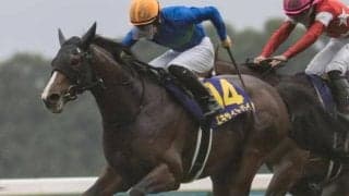 有馬記念当日の中山芝はいくらか高速化 1枠2頭が好配呼ぶか