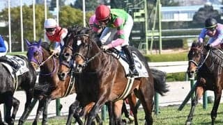 【阪神6R新馬戦結果】ロードカナロア産駒キシダンチョウが直線一気V