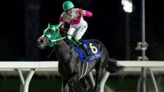 【大井・東京2歳優駿牝馬枠順】無傷4連勝中のリュウノフライトは7枠11番