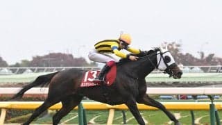 【競馬予想】今年の有馬記念は人気薄馬も見逃せない　血統分析で見えた、波乱を起こしそうな２頭は？