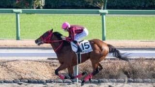 【新馬/中山5R】断然人気クラウトロックが8馬身差圧勝