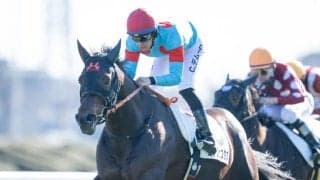 【新馬/中山6R】C.デムーロ騎乗 コンジェスタスがデビューV