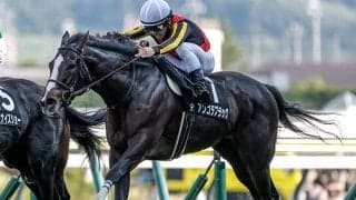 【中山金杯】アンゴラブラック、カネラフィーナらが登録