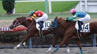 小林美駒騎手がキャリアハイの37勝をマーク…女性ジョッキー結果