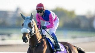 【有馬記念】「これが武豊クオリティ」武豊騎手のブレないジョッキーカメラ映像に反響