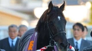 【阪神C】ルガルがG1馬の貫禄を見せる…ナムラクレアの連覇を阻止
