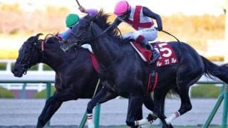【阪神C】鮫島駿「さすがG1馬」ルガルがG1馬の貫禄を見せる