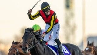 【有馬記念レース回顧】若き皐月賞馬ミュージアムマイルが頂点へ…レガレイラは連覇ならず、武豊メイショウタバルは試練の一戦に
