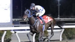 【高知・満天星特別】新馬戦以来の勝利、バリジグリーが準重賞で惜敗続きに終止符