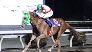 【高知・金の鞍賞】トサノシュジンコウが惜敗続きに終止符