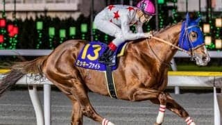 【東京大賞典】C.ルメール騎手が17年ぶり2勝目へ 主役のミッキーファイトで参戦