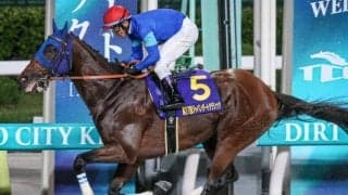 【東京大賞典】チャンピオンズCで13着のナルカミが参戦 前走二桁着順からの一変Vなら20年ぶり
