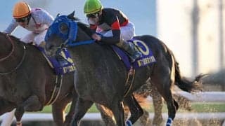 【大井・東京大賞典結果】大井のディクテオンが差し切ってGI初制覇