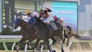 【東京大賞典】大井所属ディクテオンが大接戦を制する…ミッキーファイトは2着