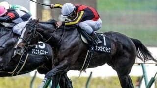 【中山金杯想定騎手】アンゴラブラックは戸崎圭太騎手、カネラフィーナは石川裕紀人騎手