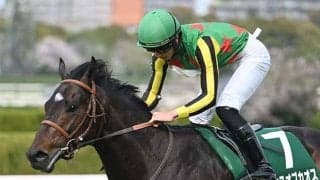 【京都金杯想定騎手】ランスオブカオスは吉村誠之助騎手、ブエナオンダは川田将雅騎手