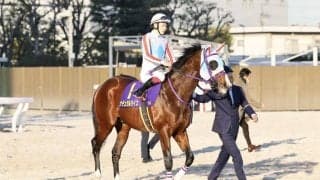 【東京大賞典】横山武「初めての古馬対戦でしたし、また改めてです」3歳ダート二冠馬ナチュラルライズは11着大敗