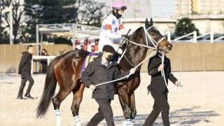 【東京大賞典】松山「上位2頭強かった」アウトレンジは地力見せて3着