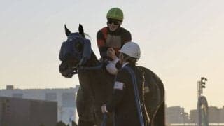 【東京大賞典】荒山師「ドバイに向かうことになるんじゃないかなと思います」ディクテオンがG1初制覇