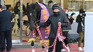 【阪神C】売上は50億1066万9400円で昨年より約14.2億円減少