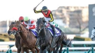【有馬記念】売上は713億4520万6100円で昨年より163億円の大幅増 26年ぶりの700億円台